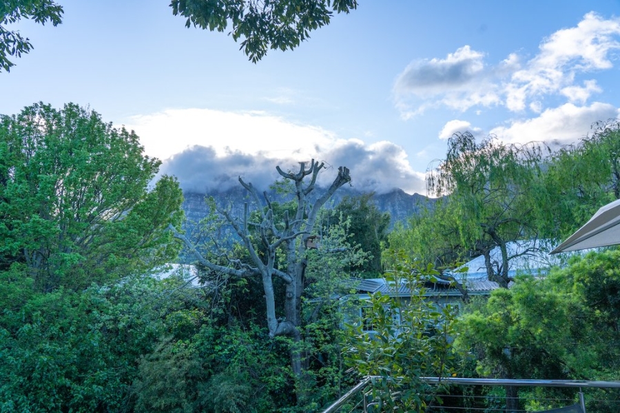 To Let 4 Bedroom Property for Rent in Newlands Western Cape
